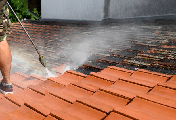 Best Concrete Pressure Washing  in Del Rio, CA